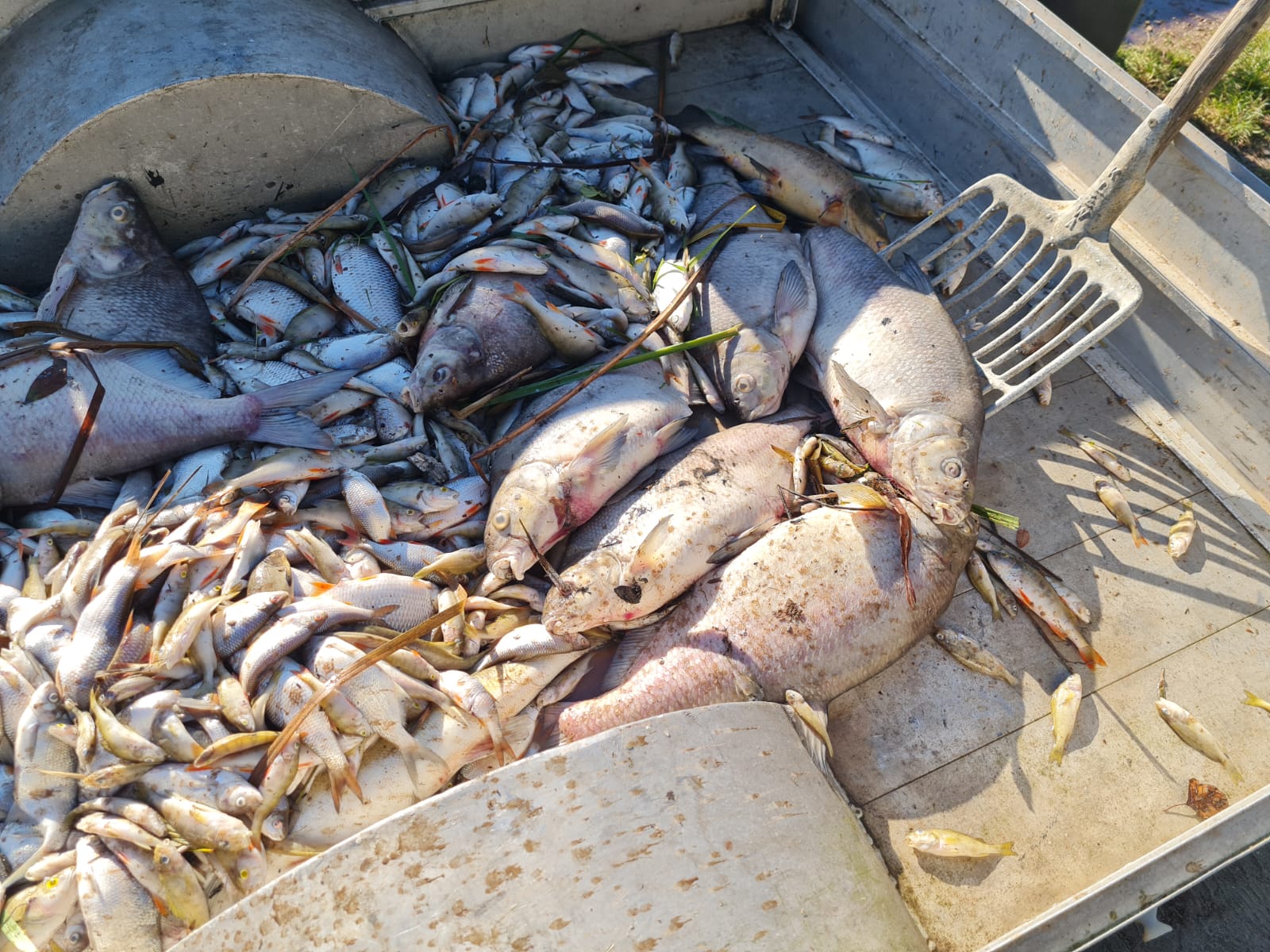 Sauerstoffmangel 2023